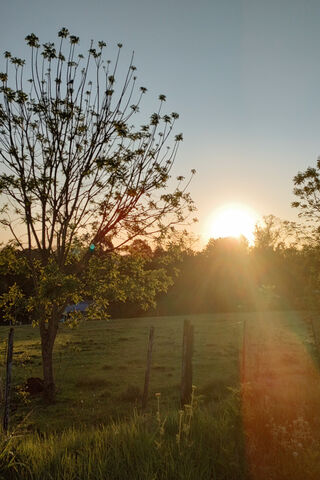 Serene Sunset Over the Meadow 🌅