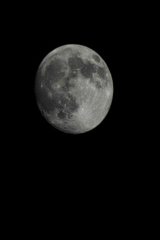 Majestic Moonlit Night ..