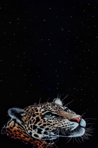 Starlit Majesty: The Le..