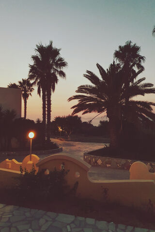 Serene Sunset Oasis 🌅🌴