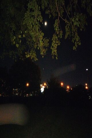 Spirit Orbs Under Moon