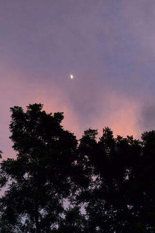 Whispers of the Twiligh..