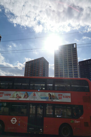 Sunny City Vibes 🌞🚌