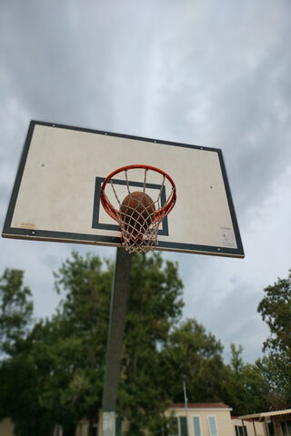 Swish! 🏀