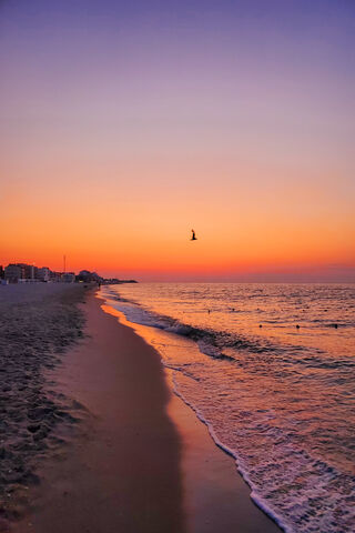 Serene Sunset by the Shore 🌅