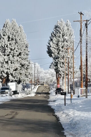 Winter Wonderland: Snow..