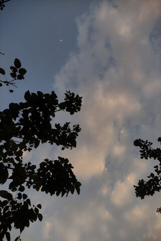 Tranquil Evening Sky 🌙☁️