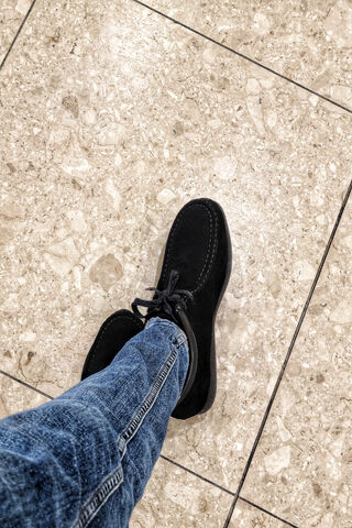 Stylish Step on Sleek F..
