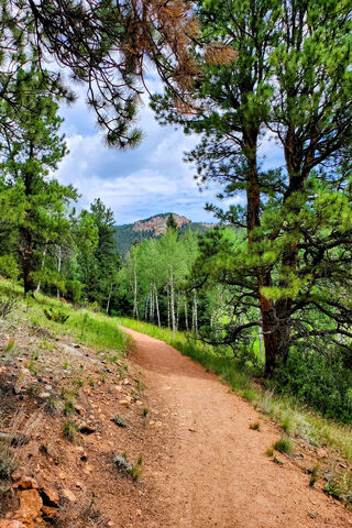 Serene Mountain Trail �..