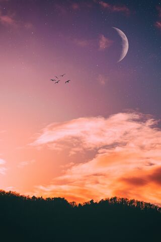 Serene Twilight 🌙✨