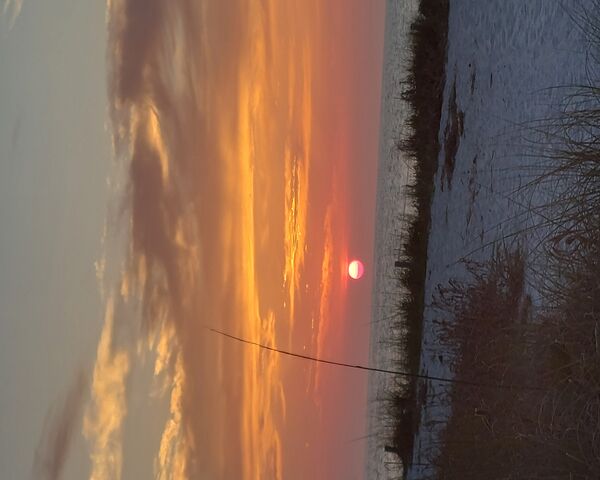 Sunset Serenity 🌅