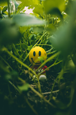Hidden Happiness 🌱😊