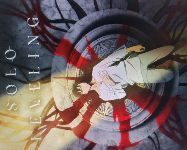 Solo Leveling: The Awak..