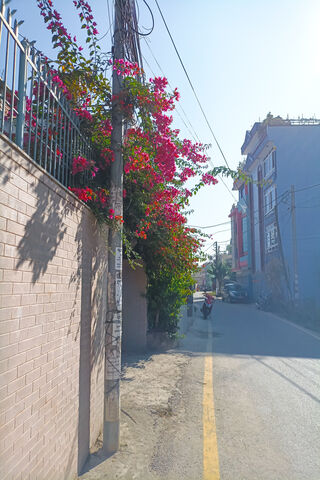 Spring In Kathmandu