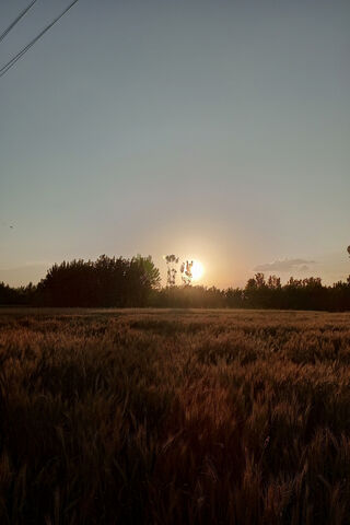 Sun Rises