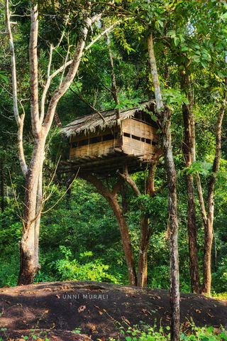Enchanted Treehouse Retreat 🌳🏡