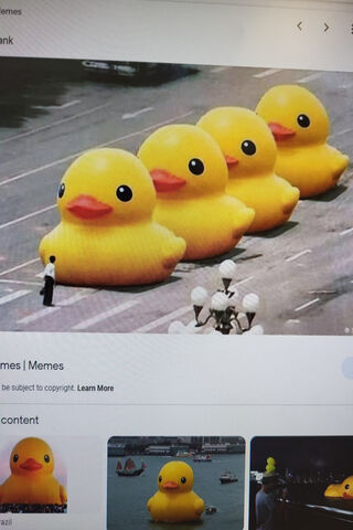 The Quacking Parade: Ta..