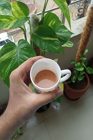 Morning Bliss ☕🌿