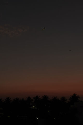 The Sunset.