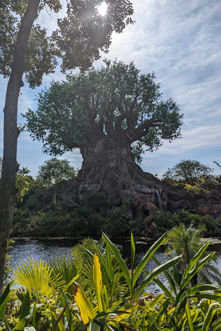 Tree Of Life Disney