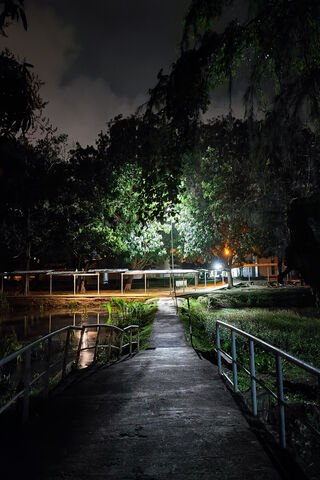 Nighttime Serenity 🌙✨