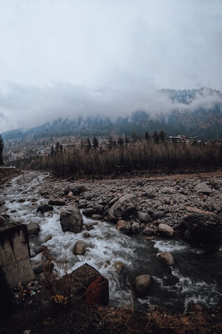 Serenity in Nature: A J..
