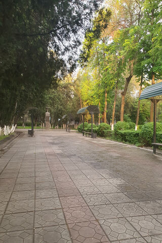 Serene Park Pathway 🌳✨