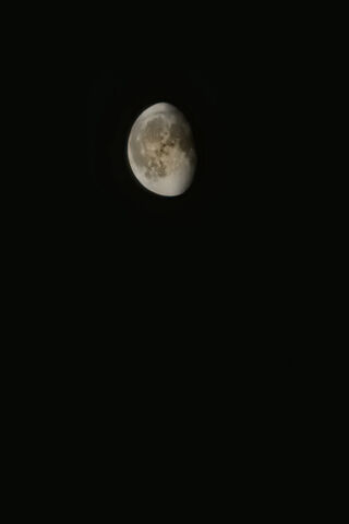 Enchanting Moonlit Nigh..