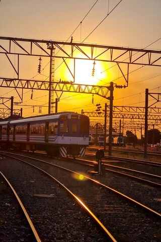 Sunset Journey: The Tre..