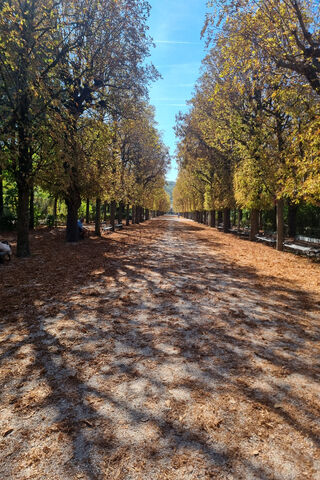 Autumn Serenity 🍂✨