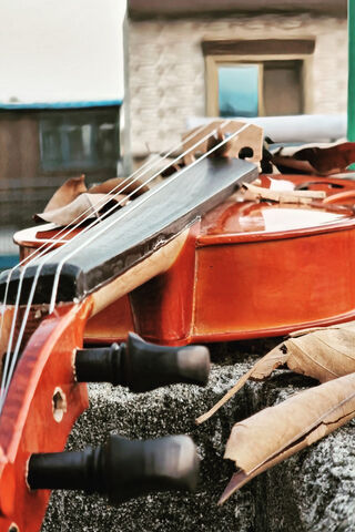 Strings of Serenity: Th..
