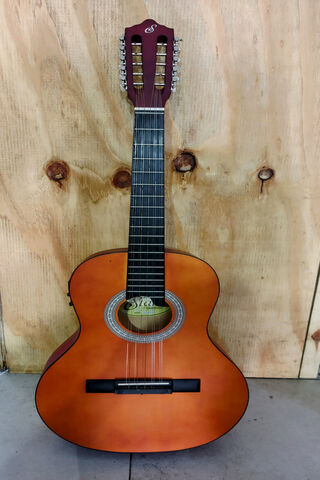 Classic Acoustic Guitar 🎸