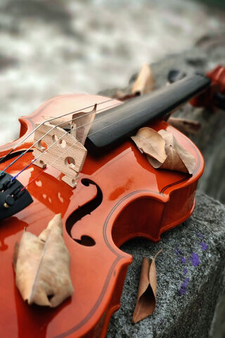 Autumn Serenade 🍂🎻