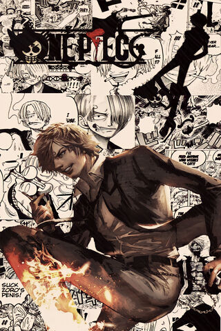 One Piece Fan Art
