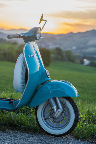 Vintage Vibes: The Clas..