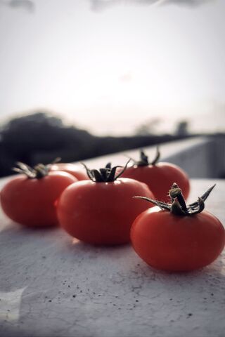 Vegetable