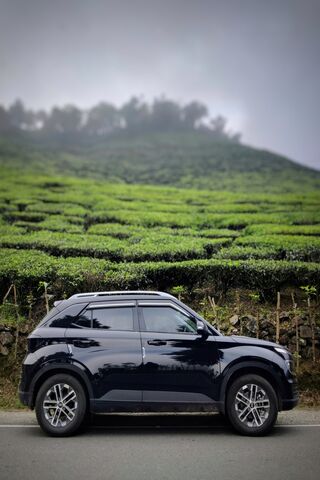 Scenic Drive Through Tea Gardens 🌿🚗