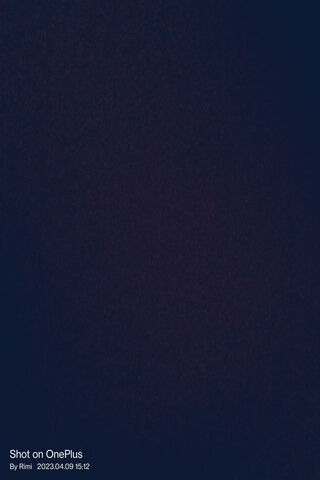 Wo