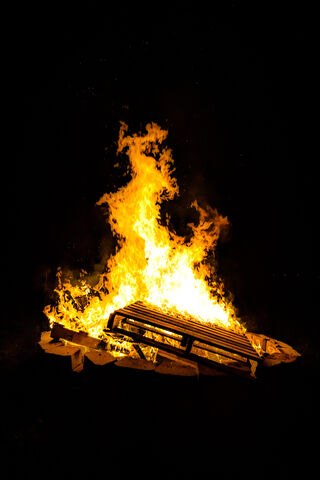 Wood Campfire