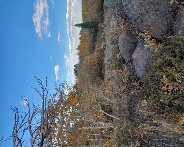 Wyoming Autumn