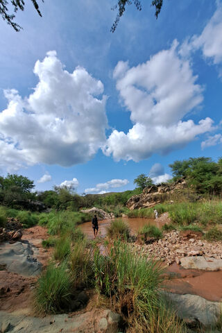 Weather