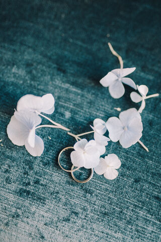 Wedding Ring Svg | Dia