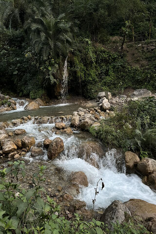 Tranquil Stream in Natu..