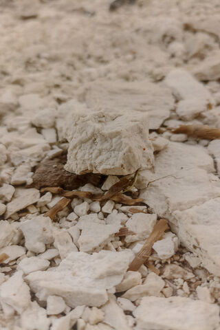 Nature's Textures: A Cl..