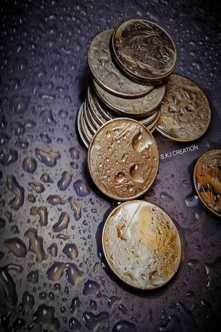 Shiny Coins on a Rainy Day 💧💰