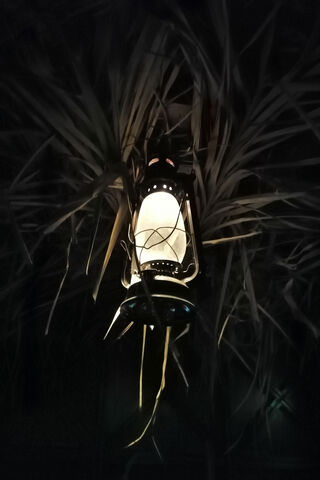 Glowing Lantern in the ..