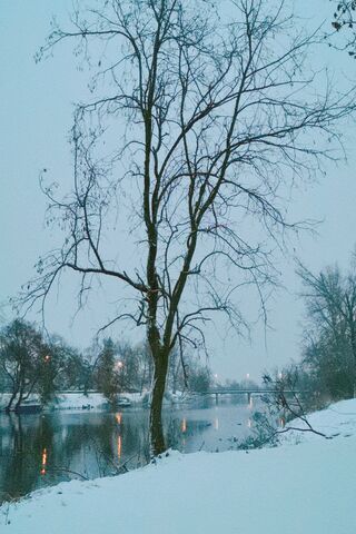 Winter