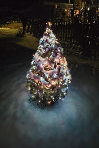 Winter Wonderland: A Vi..