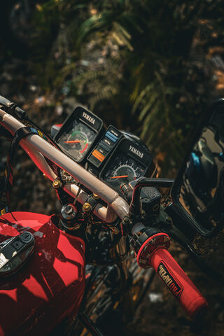 Revving Up Adventure! �..