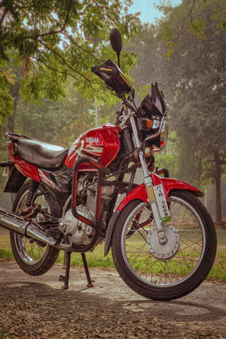 Classic Ride: The Yamaha Beauty 🏍️✨